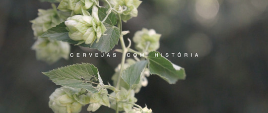 Cerveja com história - Edelbrau Cerveja com história - Edelbrau
